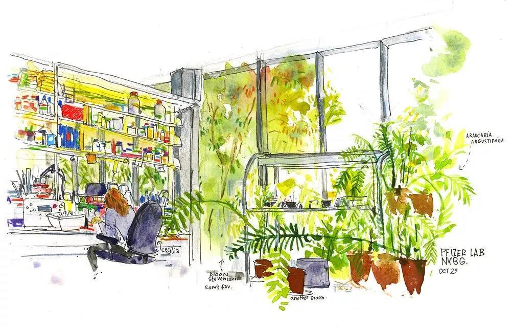 美国纽约视觉艺术学院插画,插画毕业展