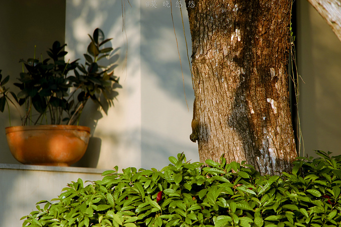 广州巴厘岛免费景点,广州温泉度假攻略