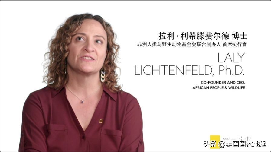 是什么激励着国家地理女探险家们改变世界的?