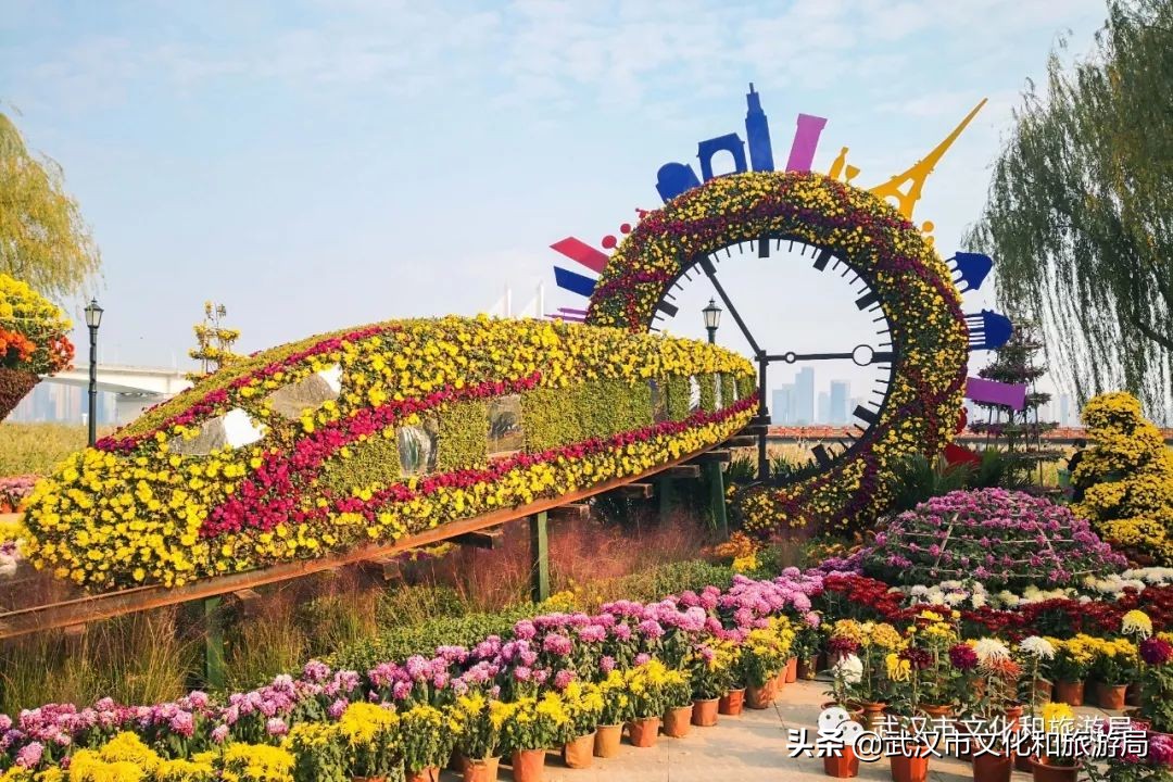 武汉菊花旅游攻略,花点时间武汉天地店