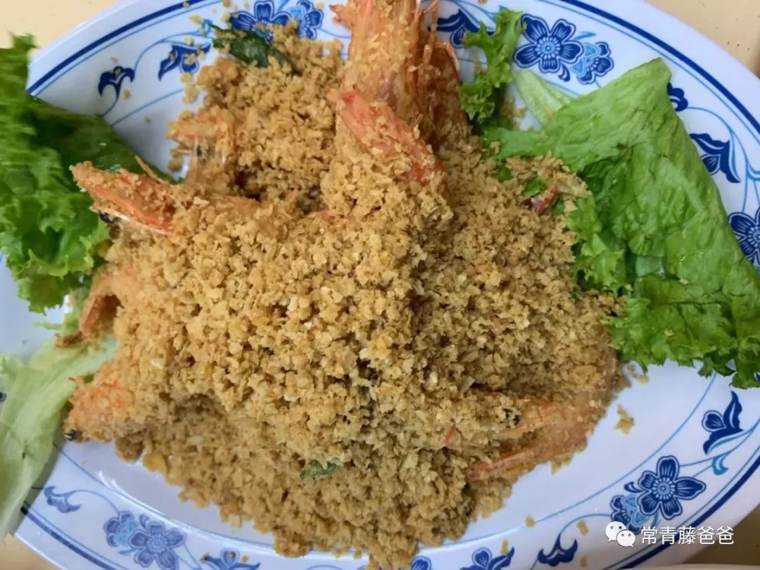 十一新加坡,十一游学新加坡