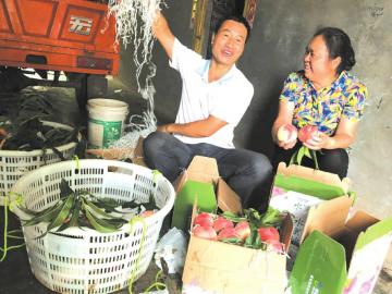 简阳政府扶持的创业项目,简阳市新型产业