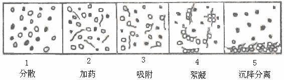 脑洞大开中的物理知识,脑洞大开的知识大全