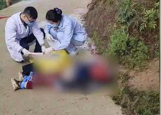 孩子被狗咬如何处置,孩子被狗咬的科普常识