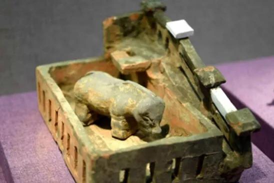 猪肉是怎么形成的,吃了那么多年的火腿肠你知道吗