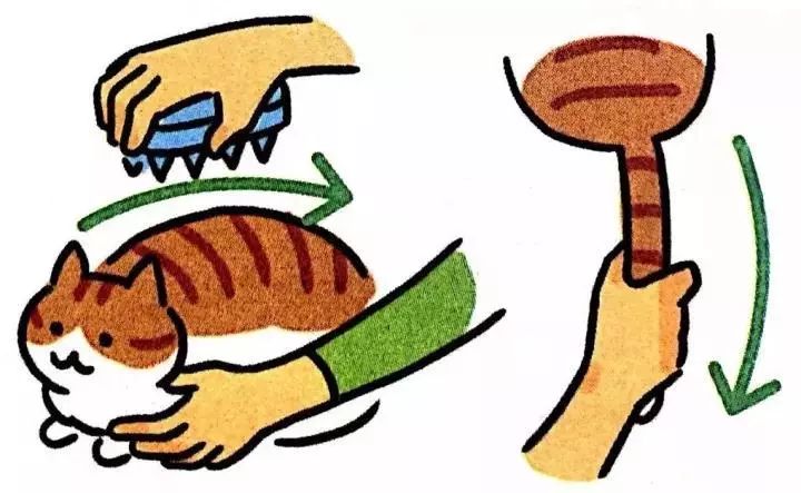 给猫主子梳毛,给猫猫梳毛用什么最好