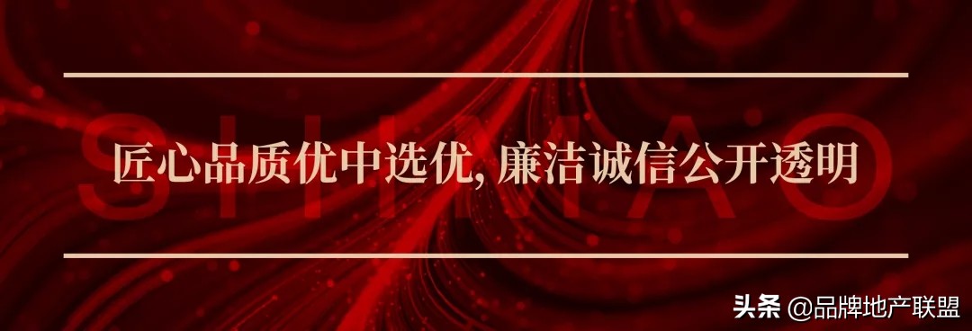 世茂集团利好消息,世茂集团廉政创新奖