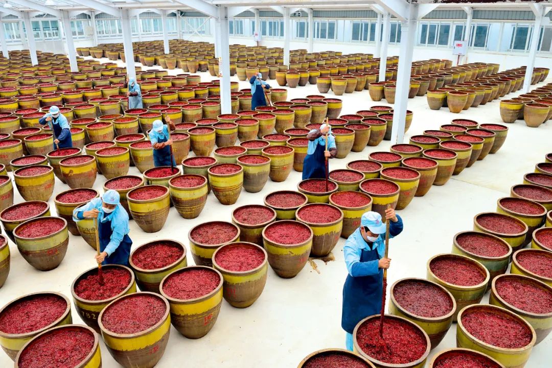 我们用25张图，去拆开8.2402万平方公里的重庆