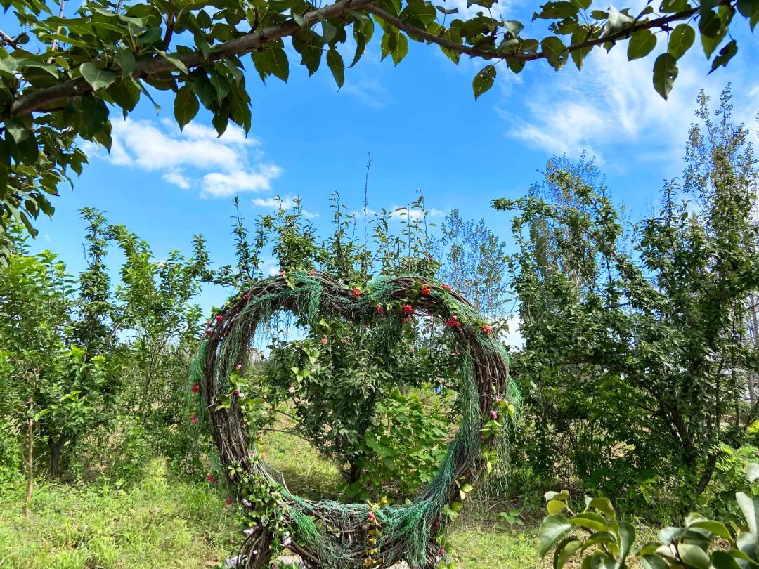 甘露花海最美打卡地点,花海风光打卡地