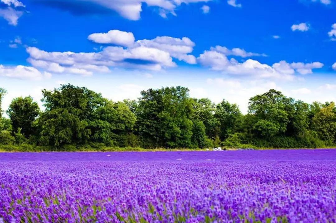 张北最美的景区是哪里,最美的草原自驾游路线攻略