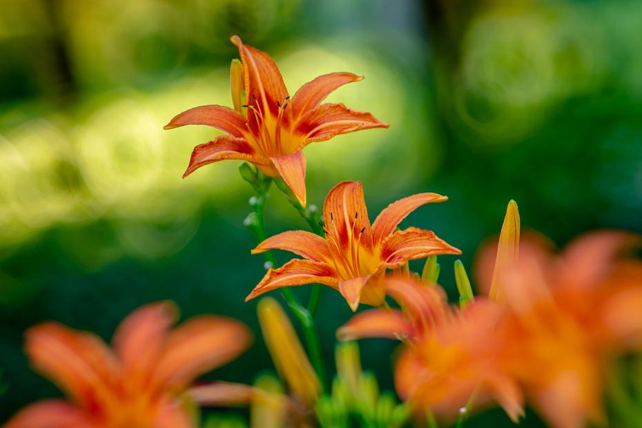 在济南花式避暑，一见“清”心！只需一瞥，便足以把酷夏原谅…