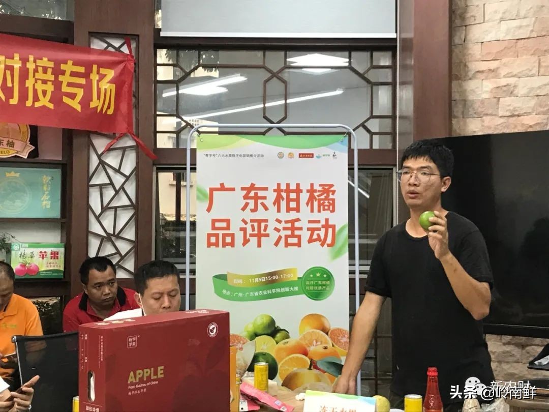 广州柑橘批发市场行情,广东柑橘市场今日行情