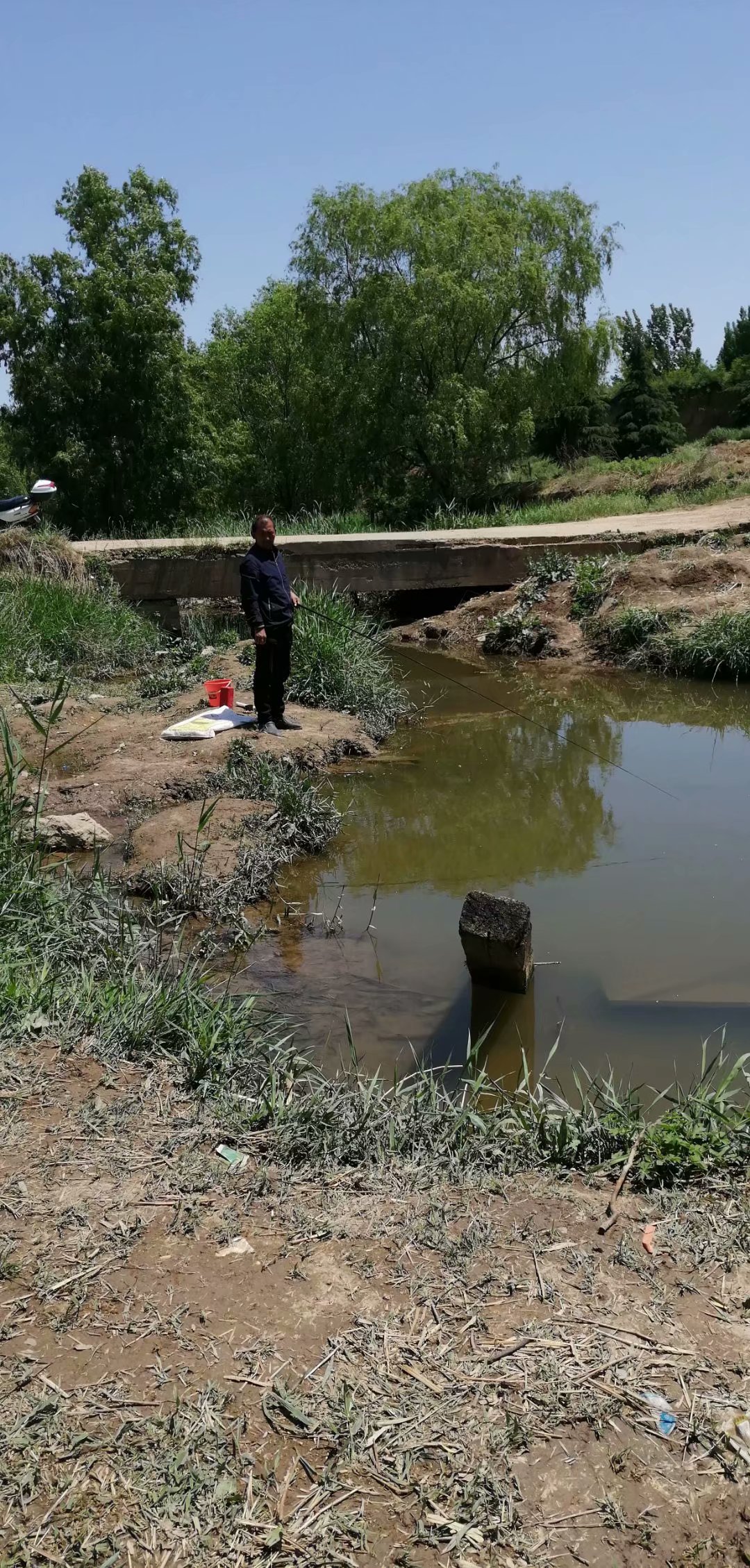 鲤鲫混养塘用什么饵料钓最好,小奶鲫特别多怎么钓