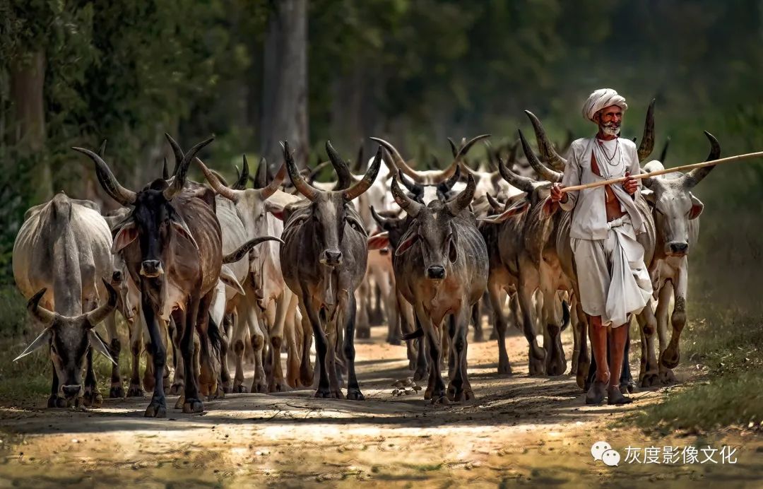 第四届国际风光摄影大赛,第四届国际摄影巡回赛