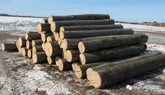 美国硬木干货价格,北美硬木排行