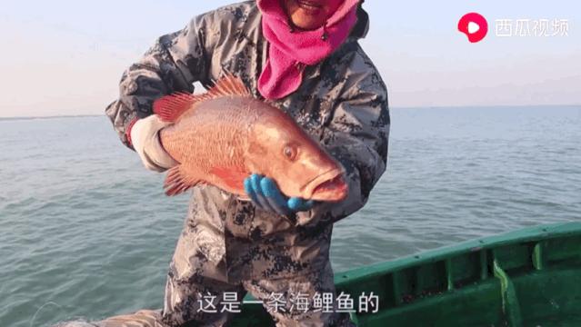 西瓜视频赶海活动,西瓜视频赶海