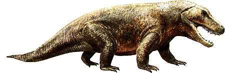 带你见识一下恐龙的进化过程,恐龙是怎么演化成如此庞大的家族