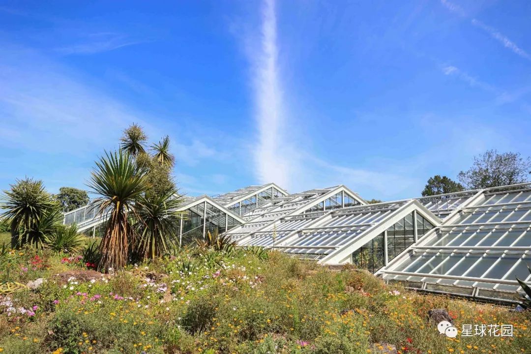 二木带你游花园|邱园（kewgarden）离我们到底有多远？