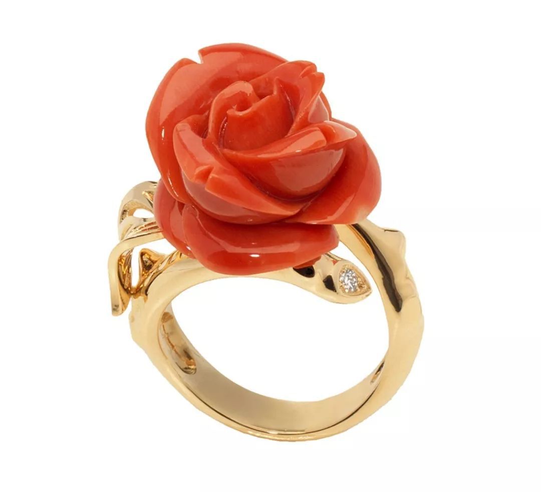 时尚圈今年的流行色,今年时尚趋势流行色