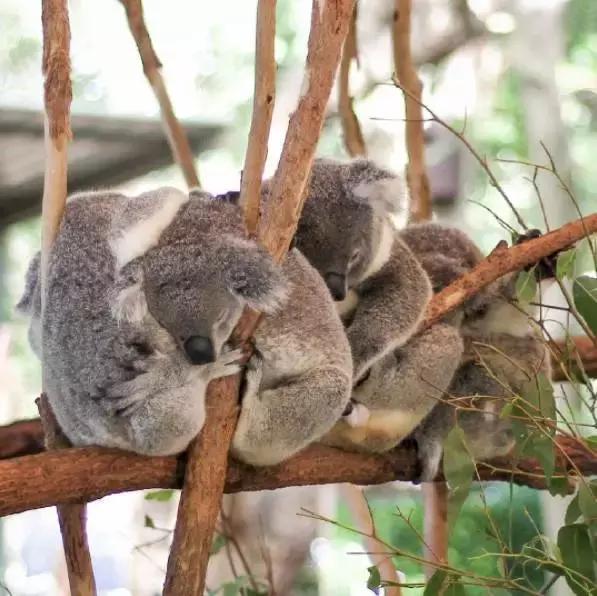 a上帝的宠儿114,上帝的宠儿阅读答案