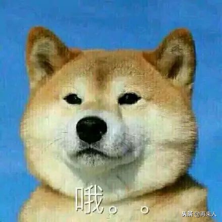 留学生的方言英语可以有多好笑,留学一年的英语水平