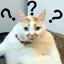 买大几千的护肤品不如一瓶虾青素,重金买精华有用吗