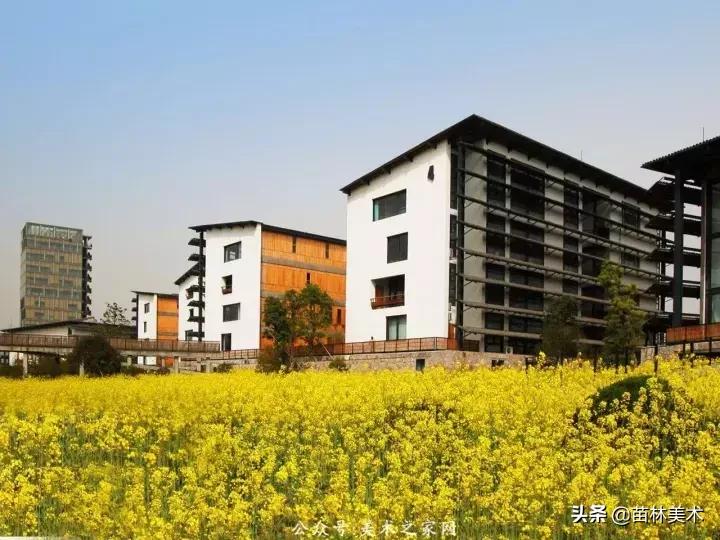 为什么好多人要上大专,为什么一定要上美院