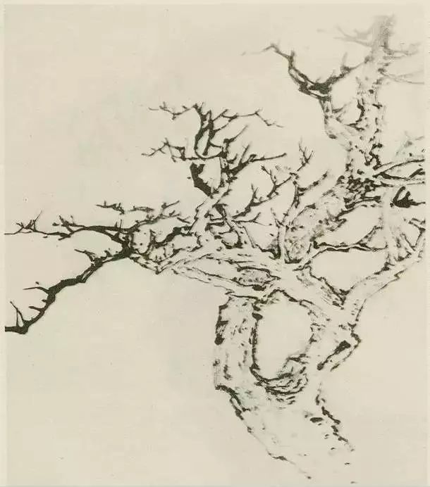 怎样画树画得好看,怎么画树最简单而且还最好看