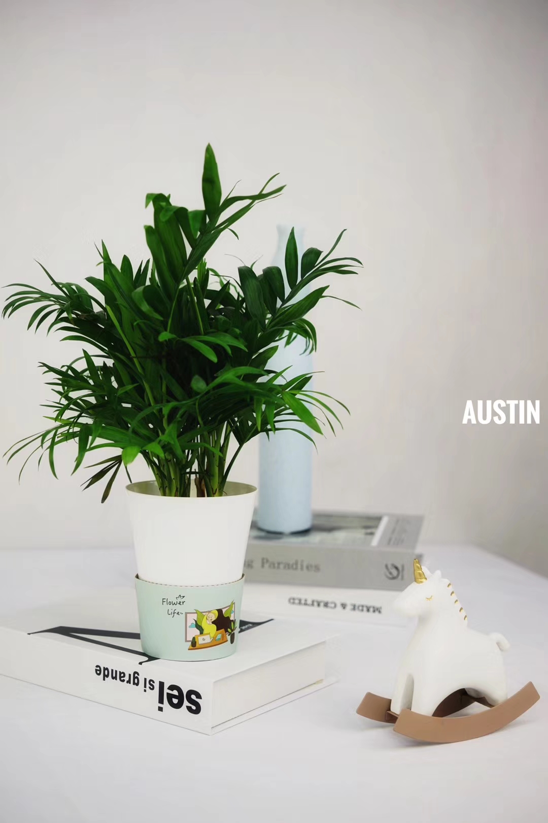 袖珍椰子最佳观赏期,阳台袖珍椰子