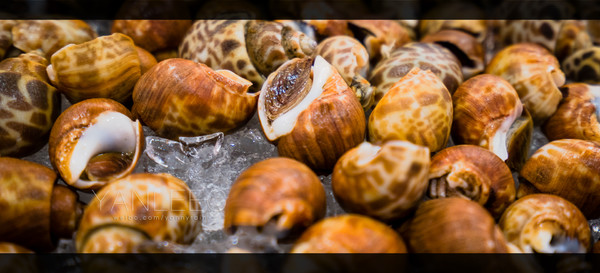 泰国旅游漫游,最新鲜玩转泰国攻略