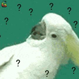 春运车站滞留百万人,春运车厢最多挤多少人