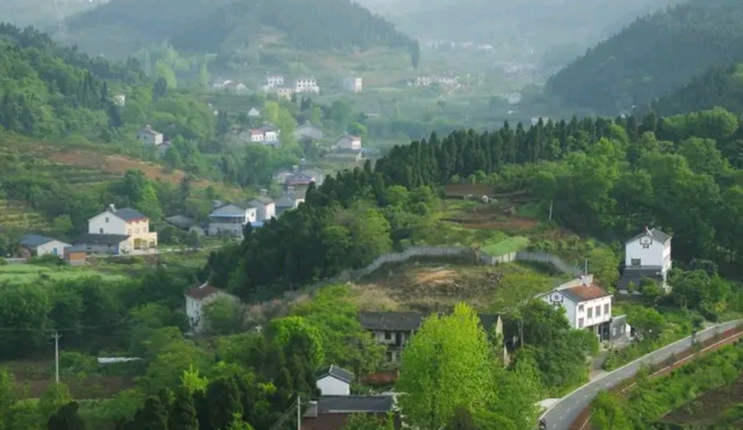 农村有种昆虫蛰人很疼，过去人见人怕，现在受喜欢了