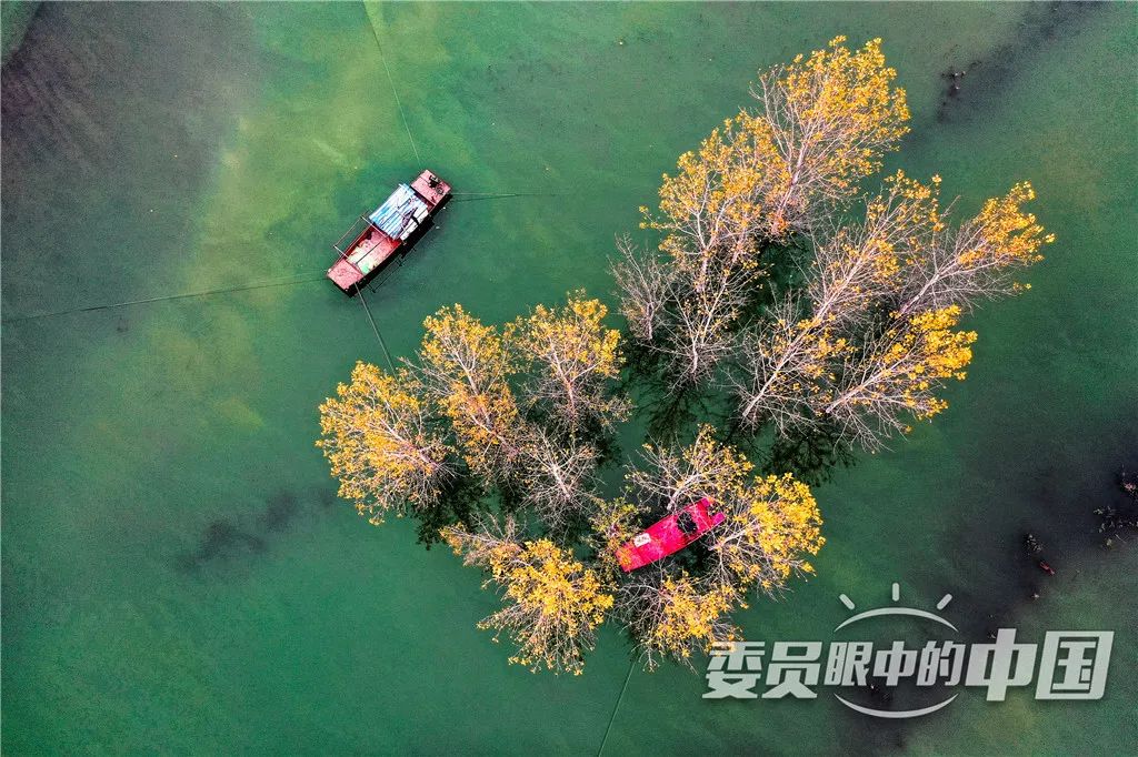 美丽中国中国篇,美丽中国双碳有我主题范文800字