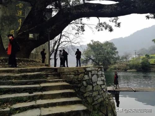 关于取消取保候审的情况说明,关于撤销取保候审的法律法规