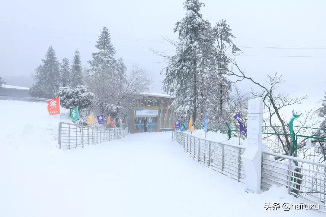 南方也能下雪吗,南方也能见到雪