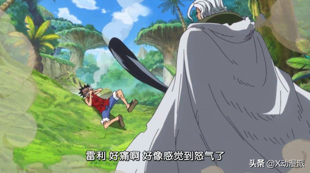 分析：草帽一伙修行的两年，攻击桑尼号守护者大熊的都是哪些人