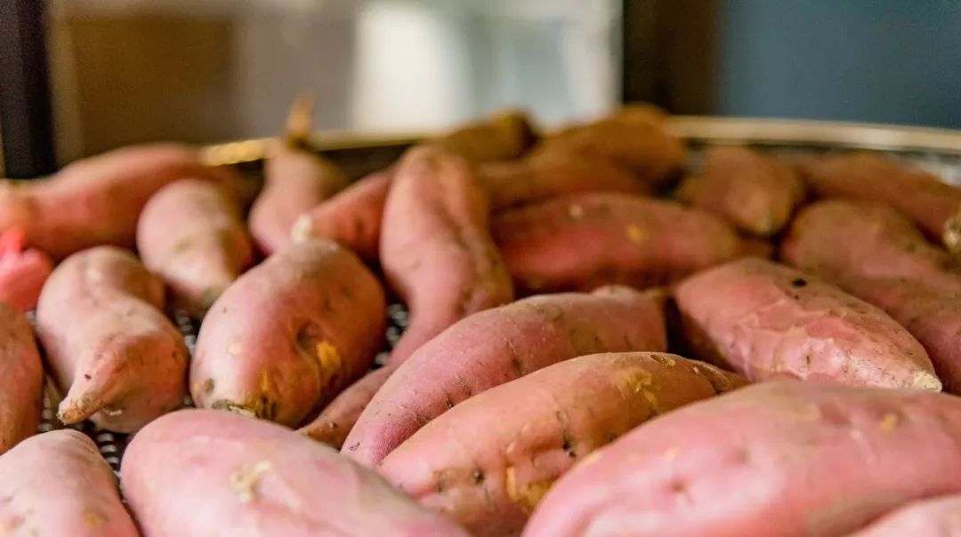 Foodie君亲测，专注19年现炒栗子的粒上皇，名不虚传！
