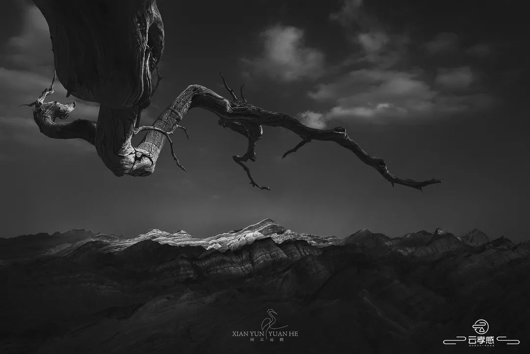 李鸿飞摄影作品初春,李鸿飞画家