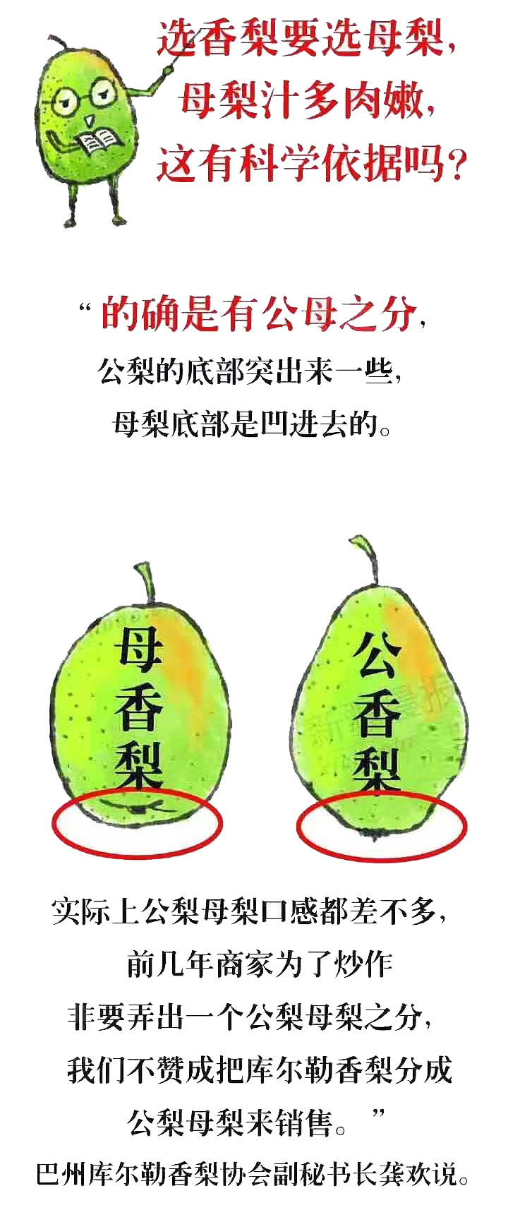 关于我与*疆新**库尔勒香梨的那些事儿