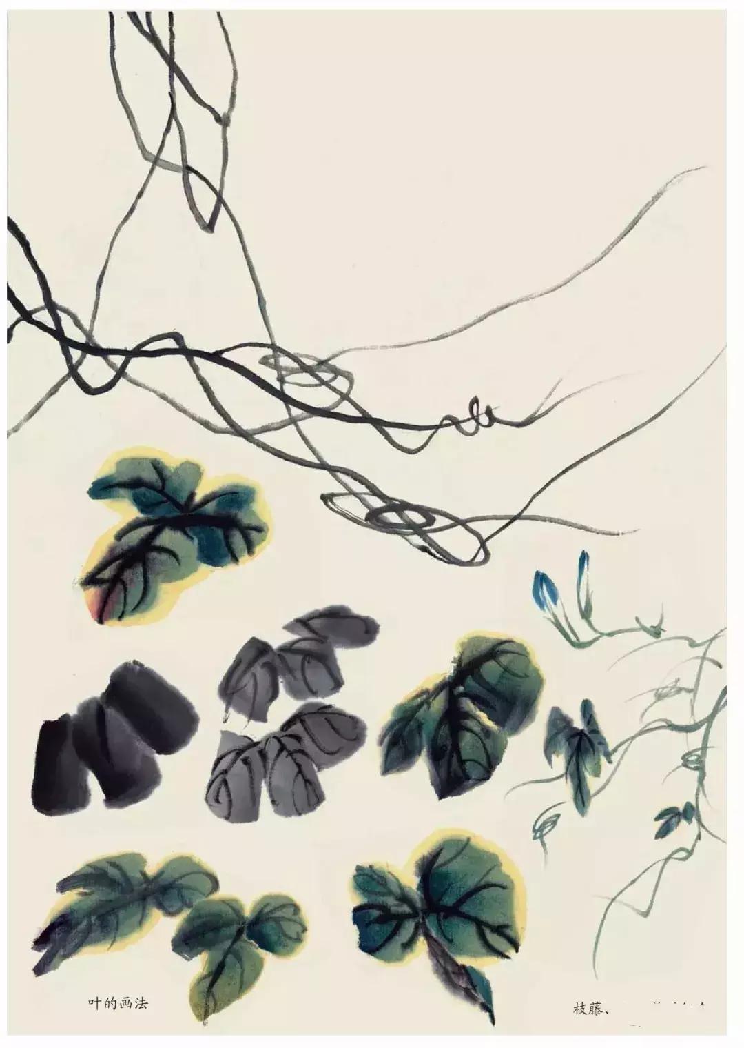 国画中各种花卉的画法,国画花卉画法步骤视频教程