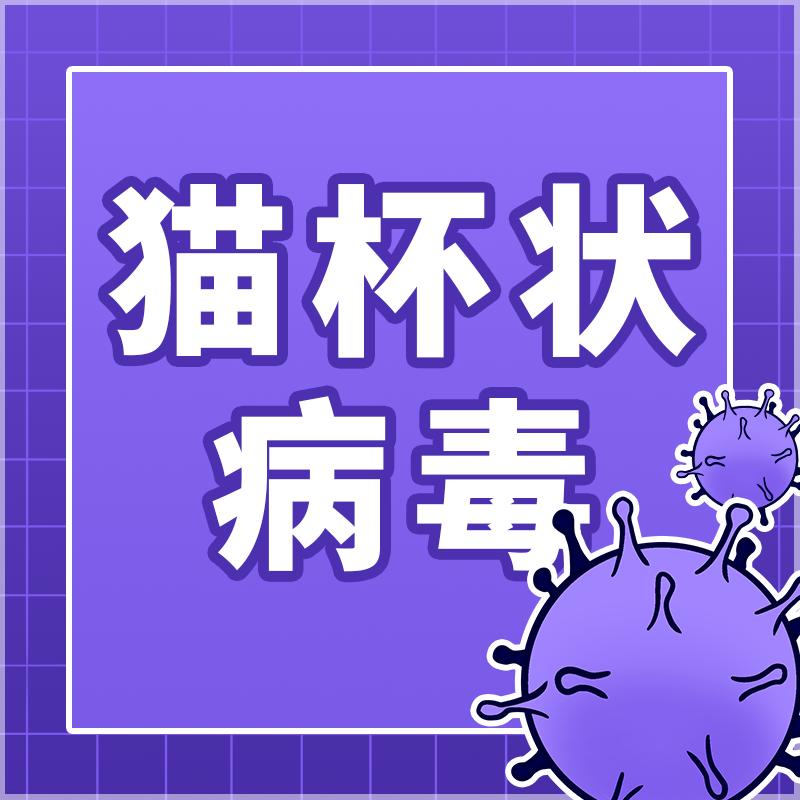 猫咪舌头有溃疡，怎么办？