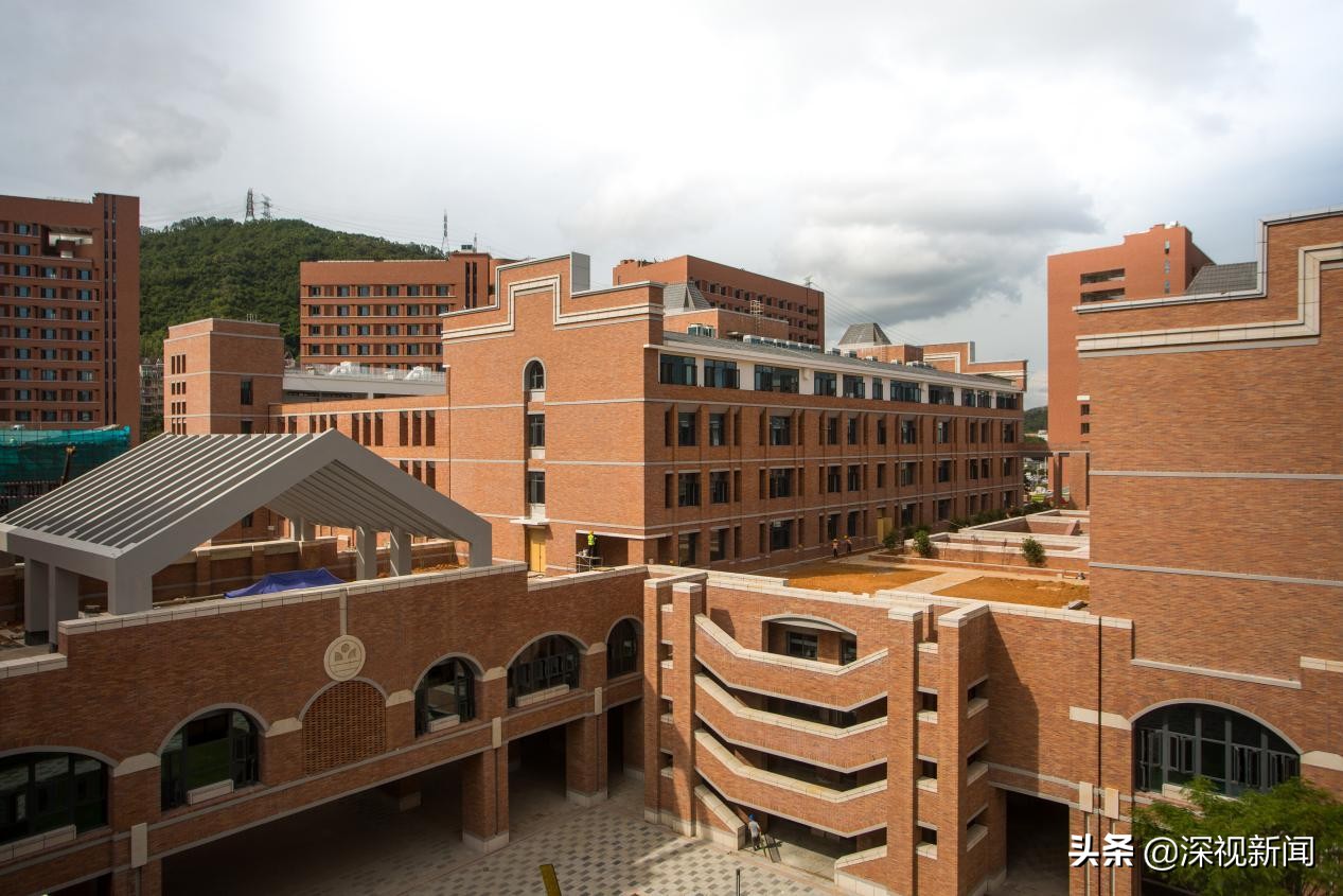 深中泥岗分校学位划分,深圳泥岗中学招生招多少人