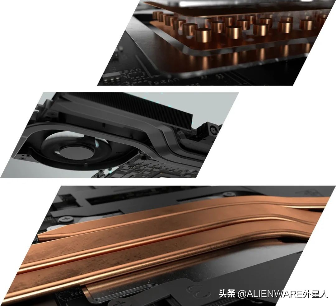 来自“MEME”的欢乐“洗礼”