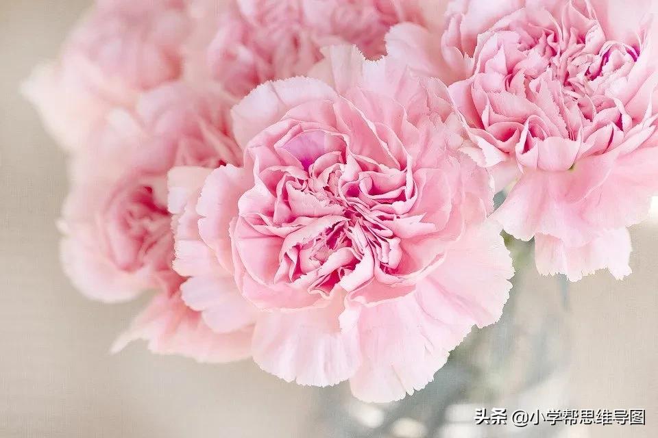 我最喜欢的一本书作文讲解,我最喜欢的一本大书优秀范文