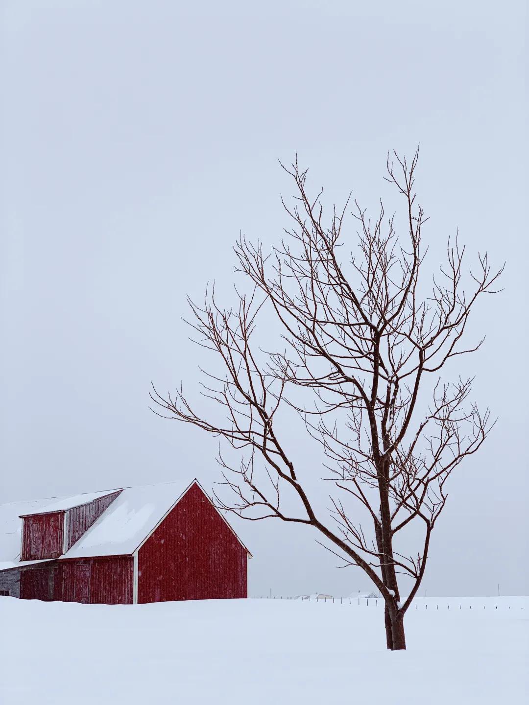 iphone11水印相机怎么弄,iphone13pro相机功能