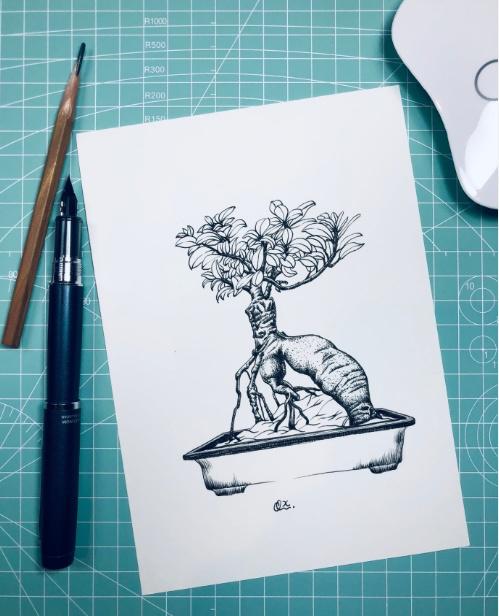 QQ经典个性签名大全,一句话超拽个性qq签名汇总