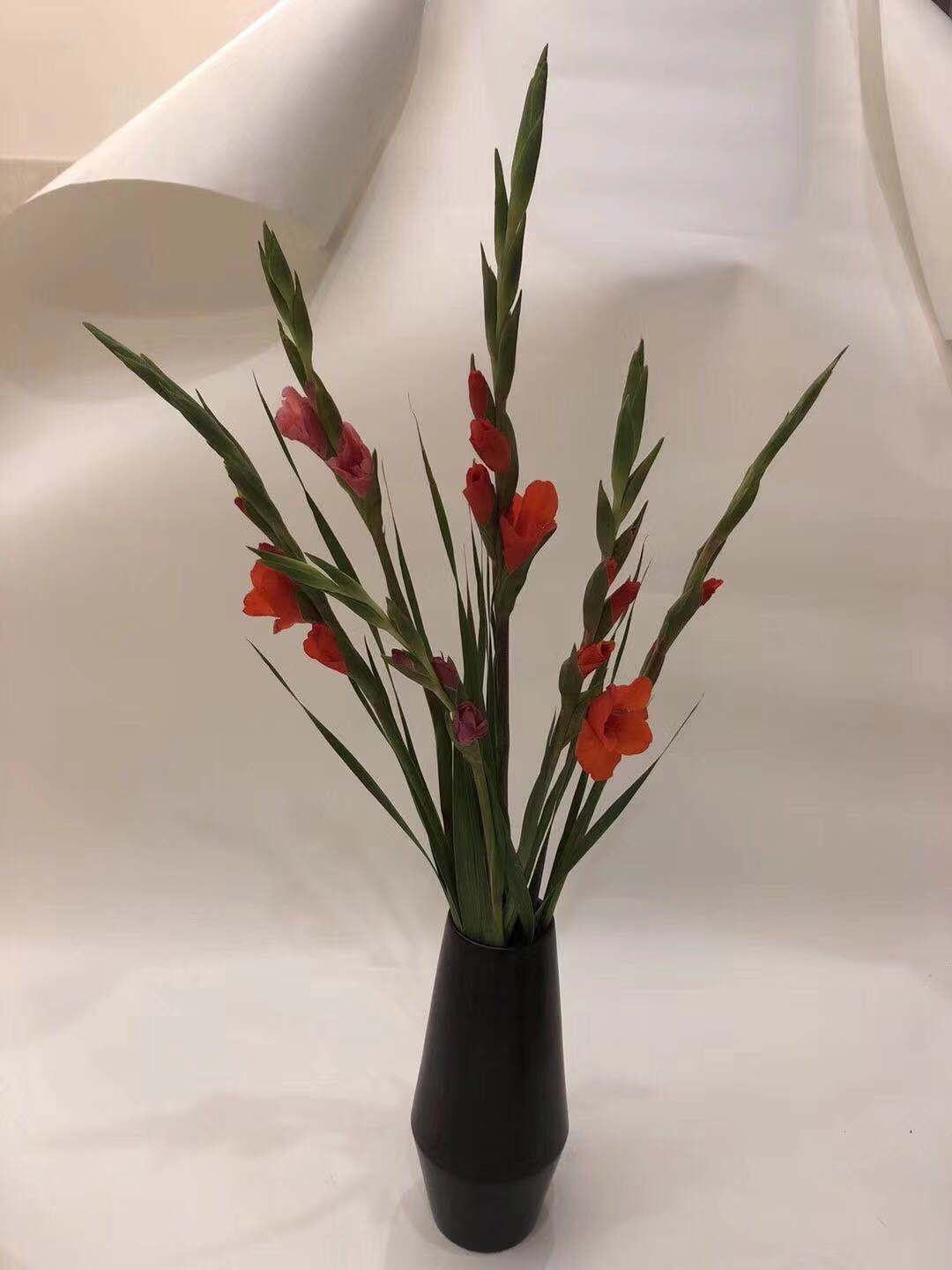 洋桔梗鲜花养护技巧,鲜花红豆养护技巧