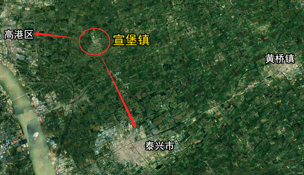 泰兴比较大的镇有哪些,江苏泰兴最大的银杏树