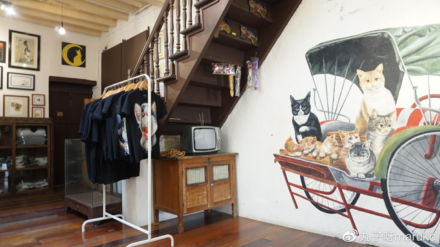 马来西亚槟城三天自助游求攻略,11月末马来西亚槟城旅游攻略