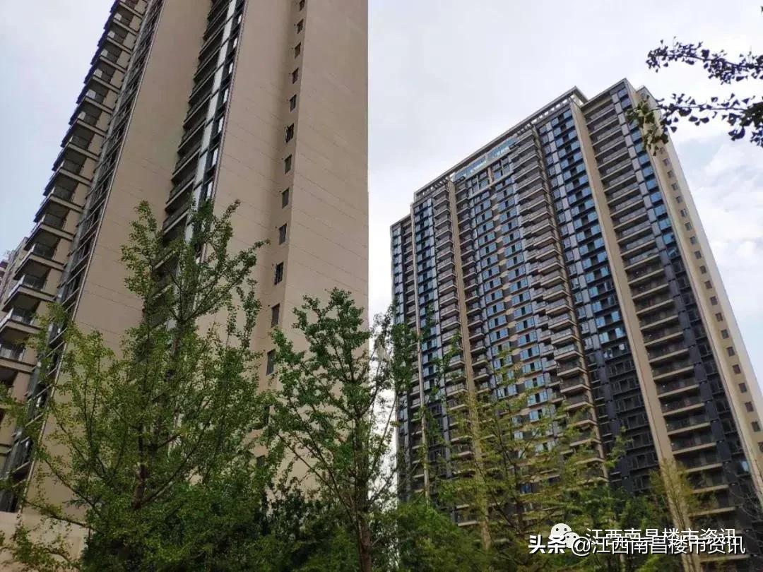 新力东园能交房吗,新力东园还有房在卖吗